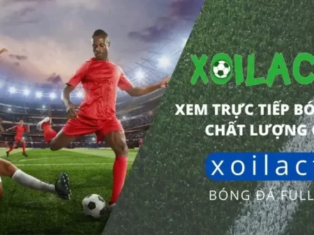 CakhiaTV và XoilacTV – đâu là lựa chọn tốt nhất 2025?